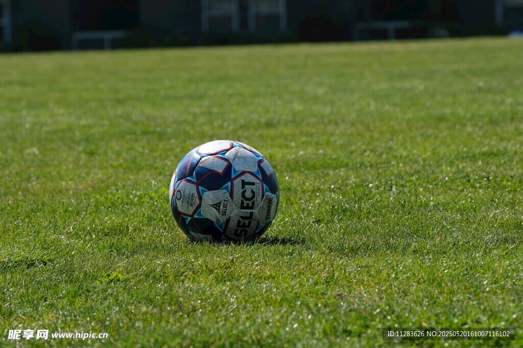 绿茵上的足球