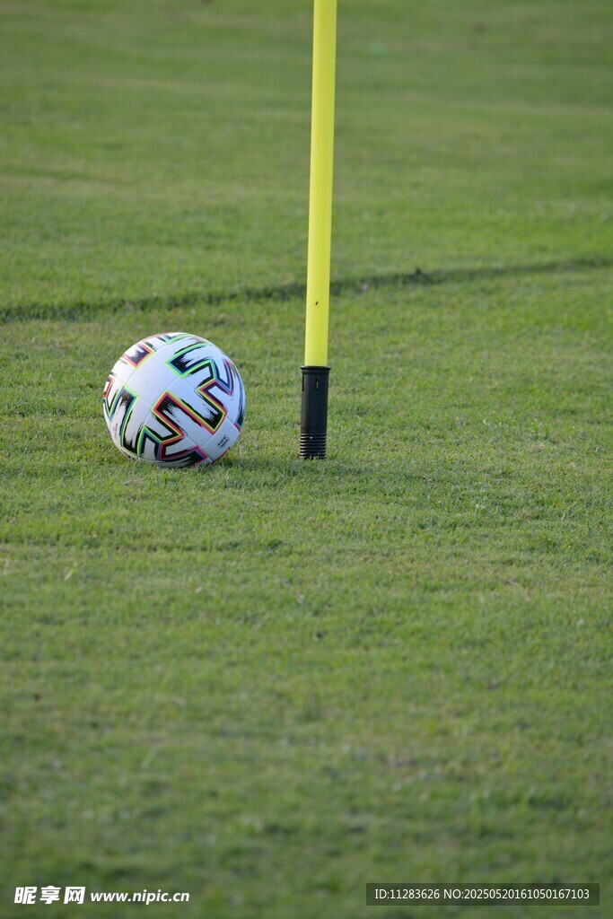 绿茵场上的足球与标志杆