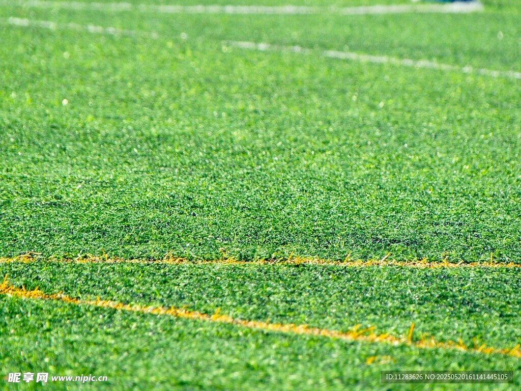 绿茵场上的黄色标线