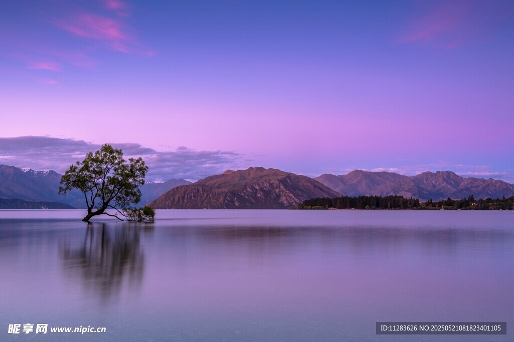 湖畔孤树映晚霞美景
