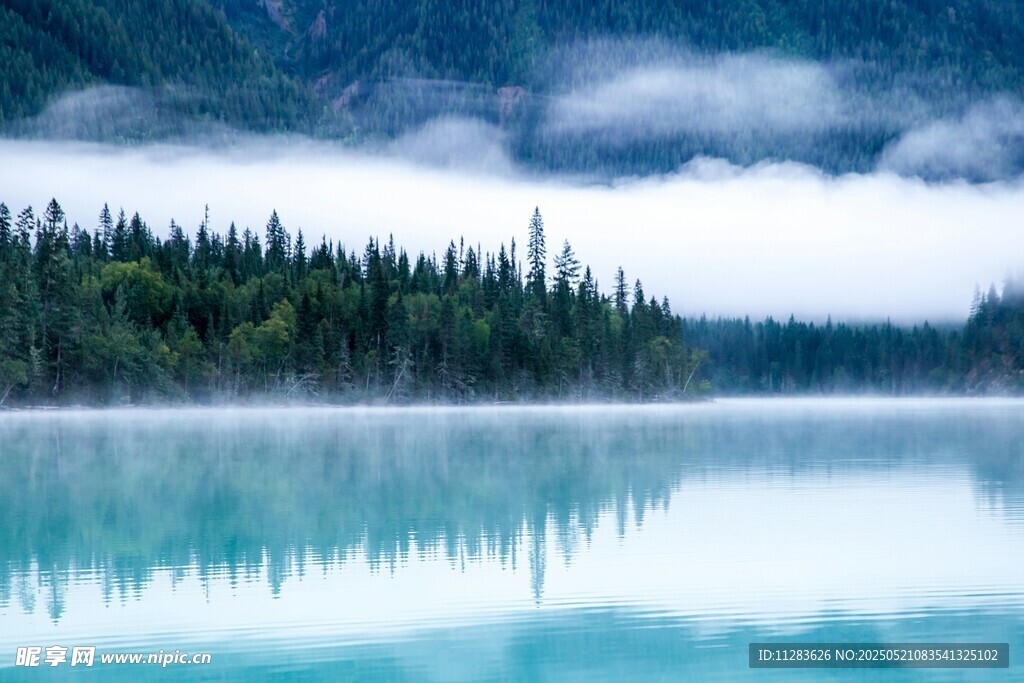 宁静湖畔森林云雾美景