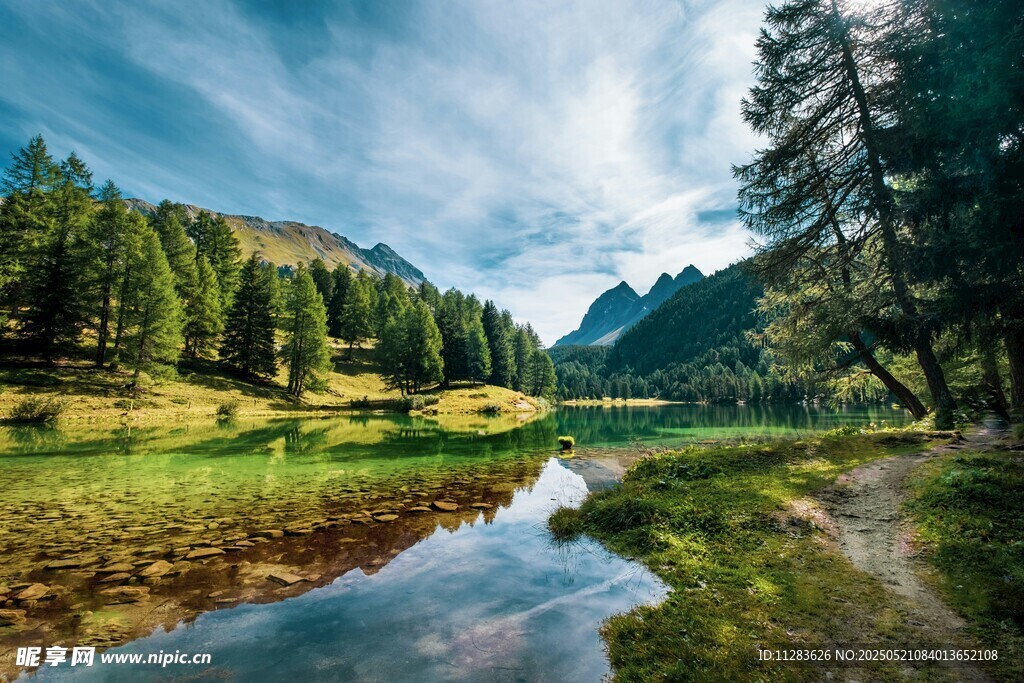 山间溪流旁的葱郁美景