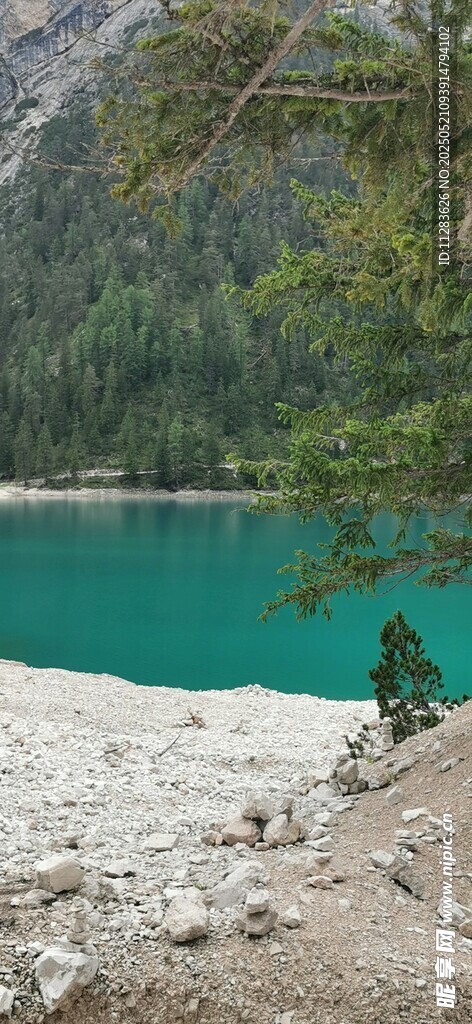 湖畔美景 翠绿山林与蓝湖