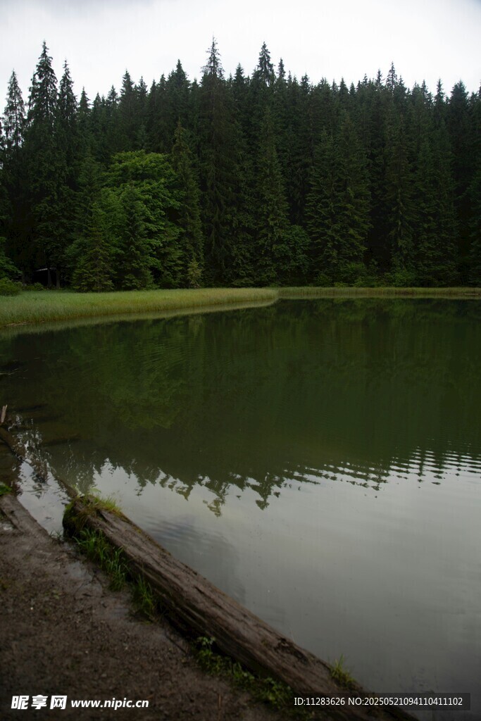 宁静山林中的静谧湖水