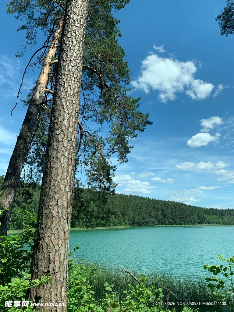 湖畔绿树蓝天美丽景致