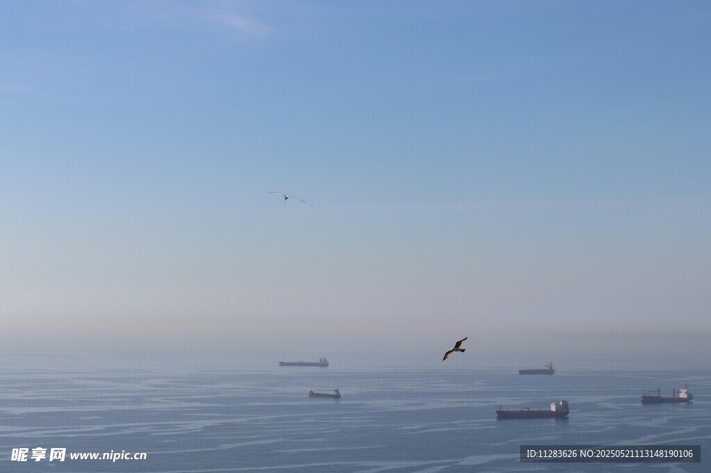 海上船只与飞鸟的景致