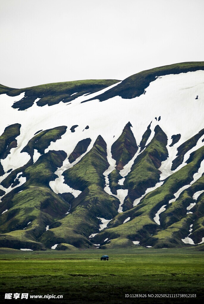 雪山下的翠绿山坡美景
