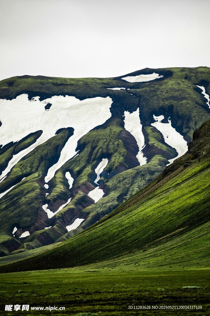 雪山下的翠绿山坡