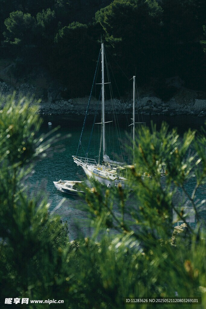 港湾中的帆船与绿植景观