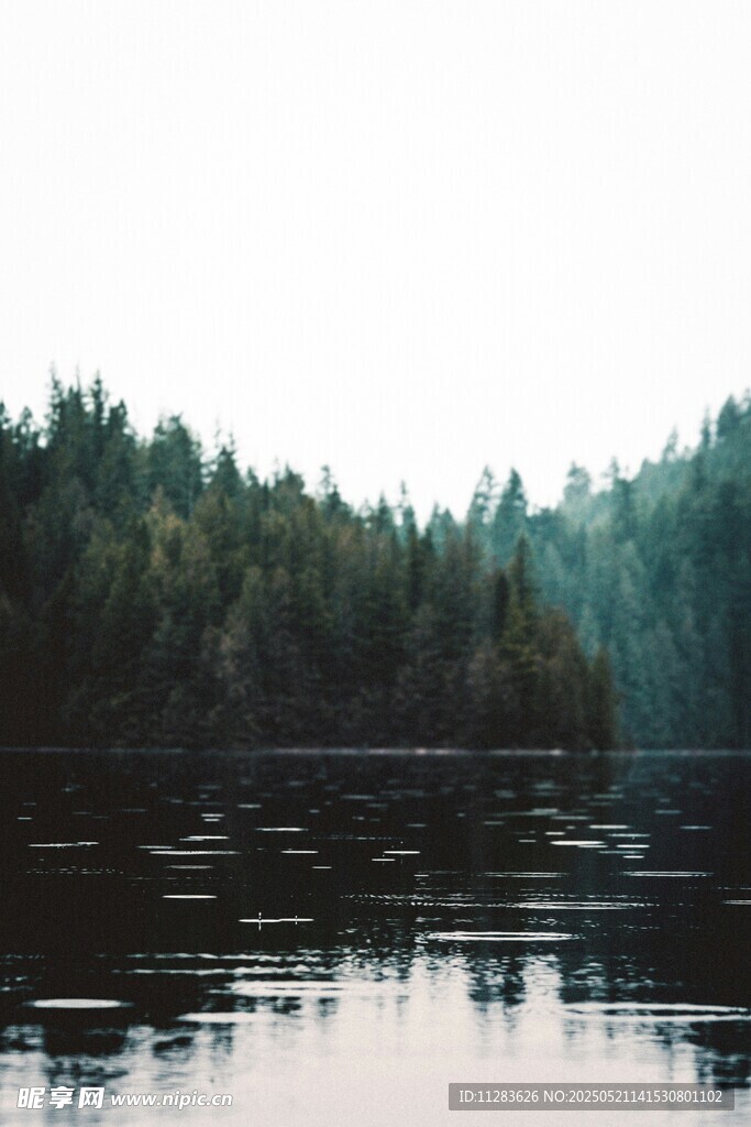 宁静湖畔森林倒影美景