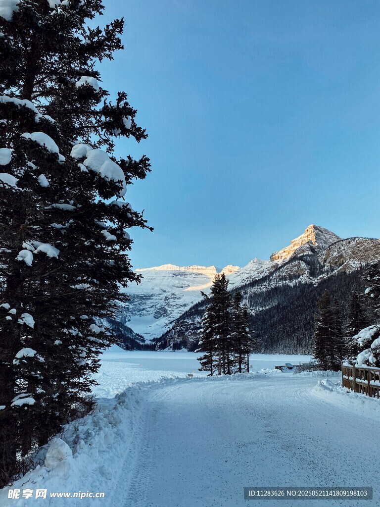 冬日雪覆山林的静谧美景