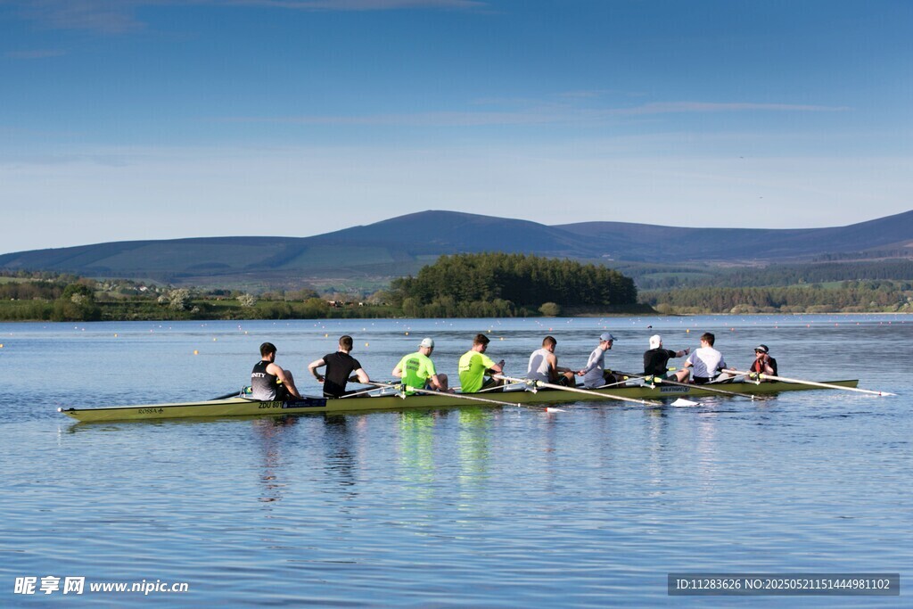 湖上龙舟队奋力划桨