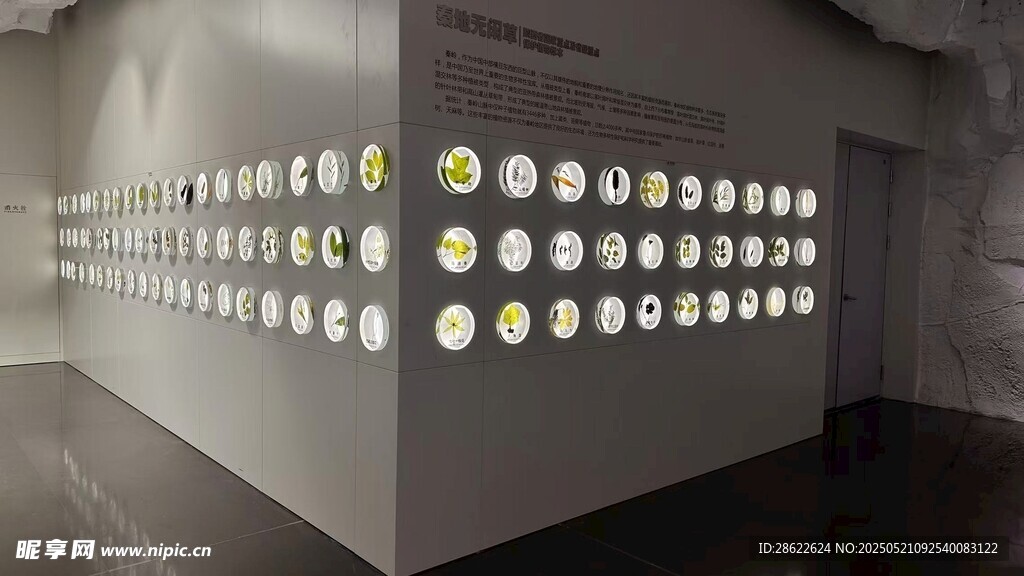 植物标本秦地无闲草