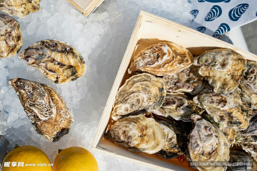 新鲜生蚝搭配柠檬