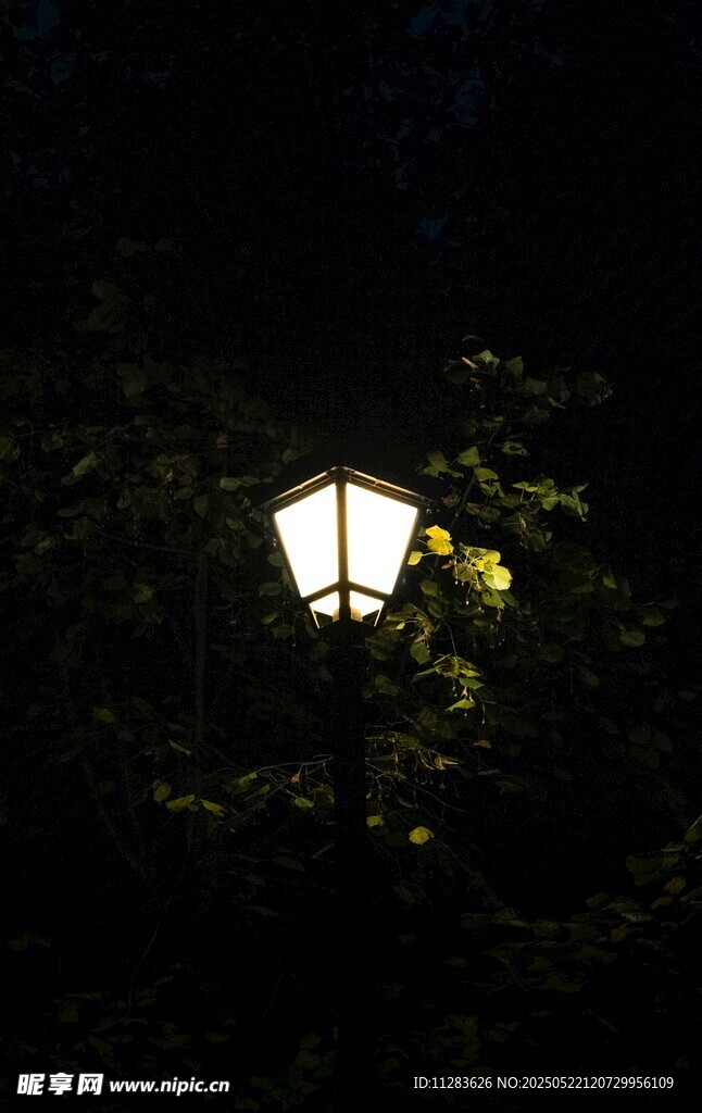 夜幕下点亮的复古路灯