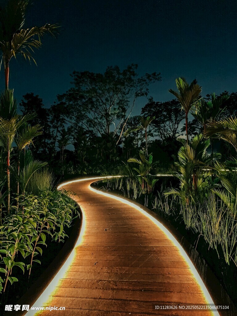 夜间木质步道的静谧美景