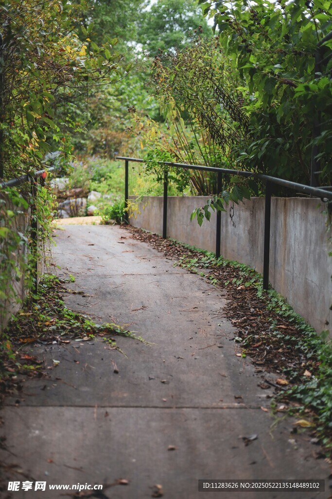 幽静林间小道