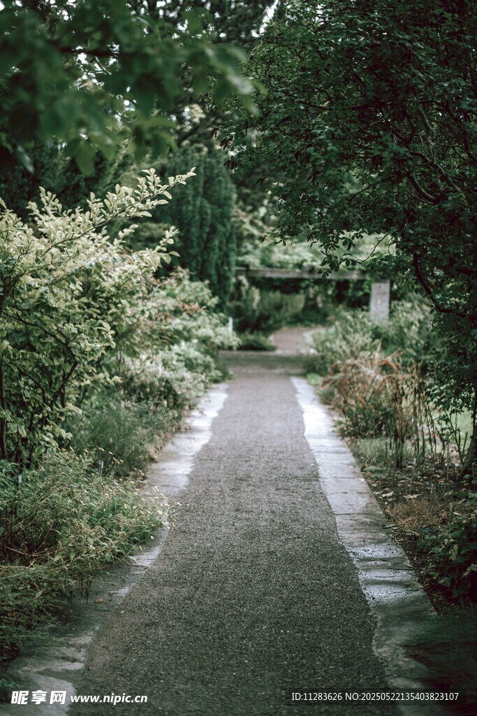 幽静林间小道
