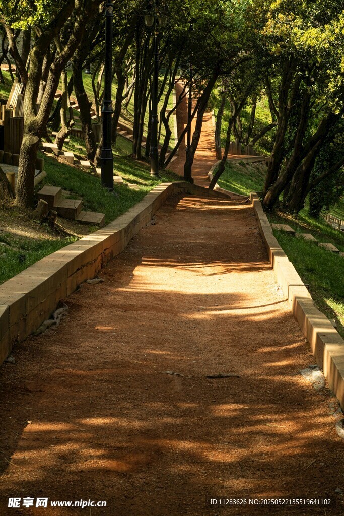 林间幽静步道