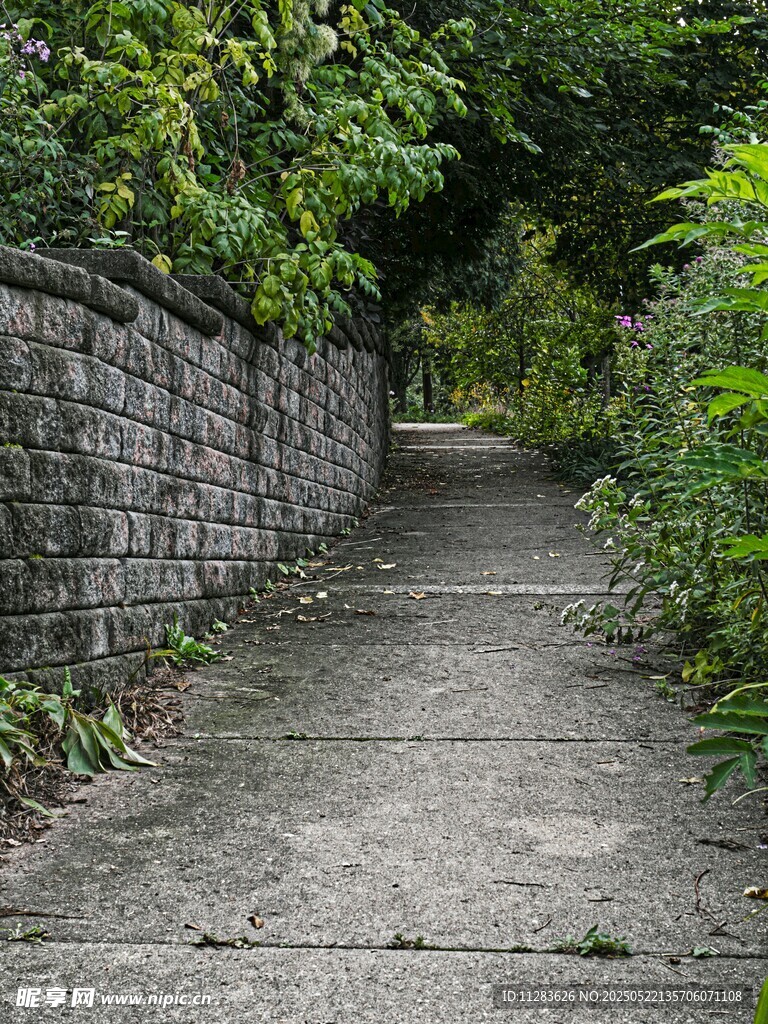 幽静石径隐于绿植之间