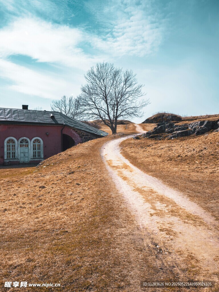 乡村土路旁的宁静小屋