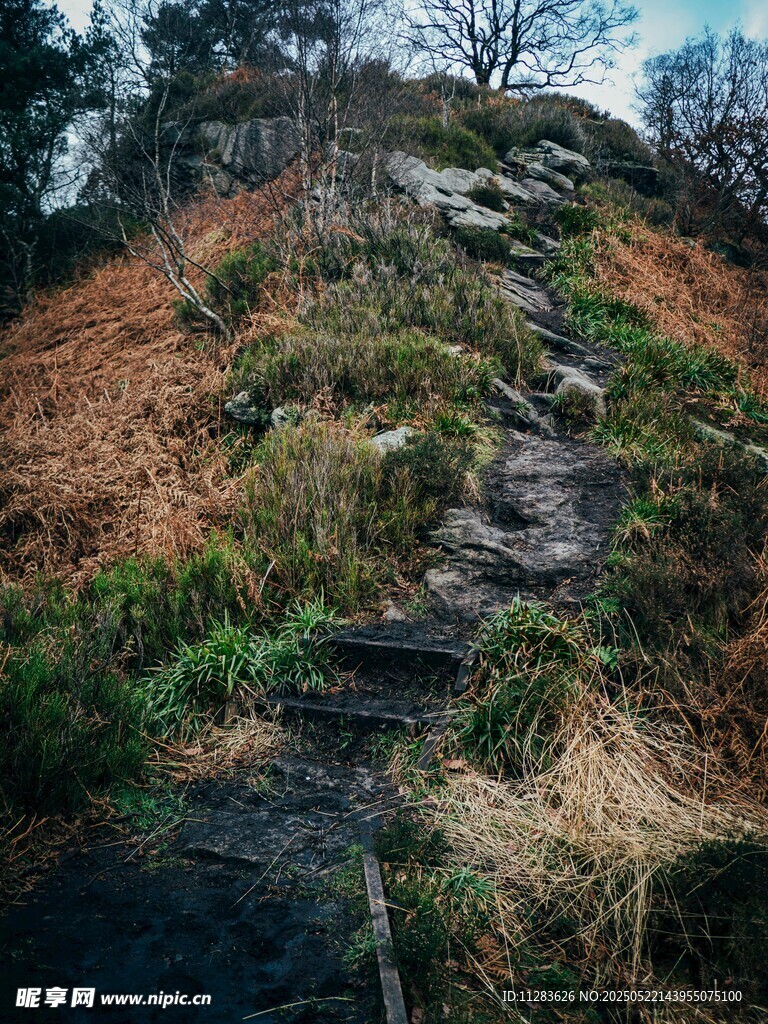 山间小径 自然野趣风景