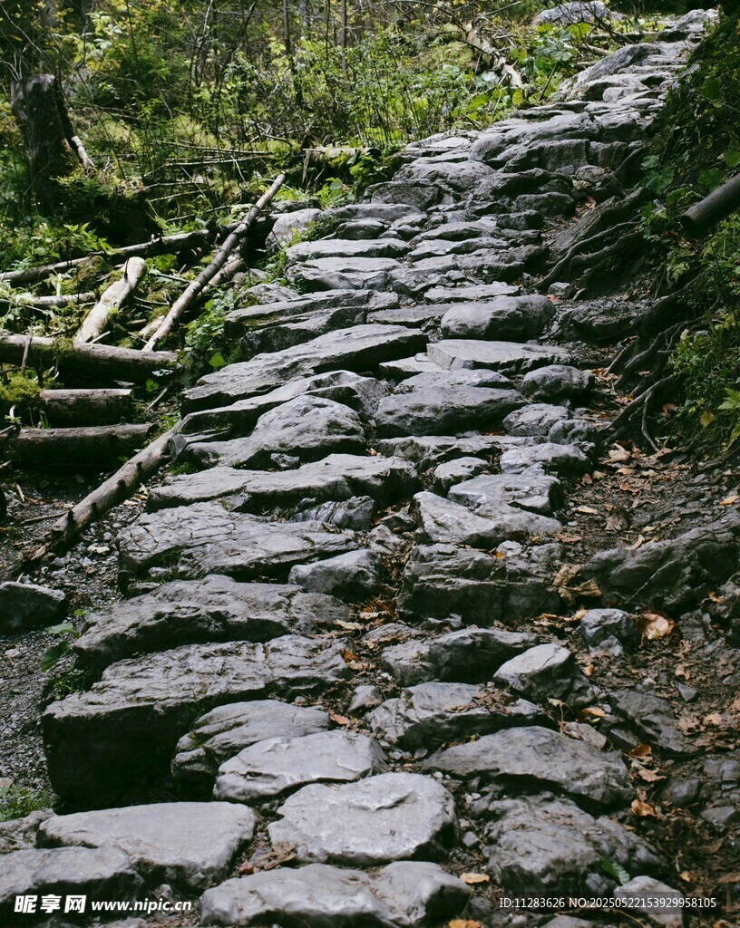 山间石径蜿蜒入幽境