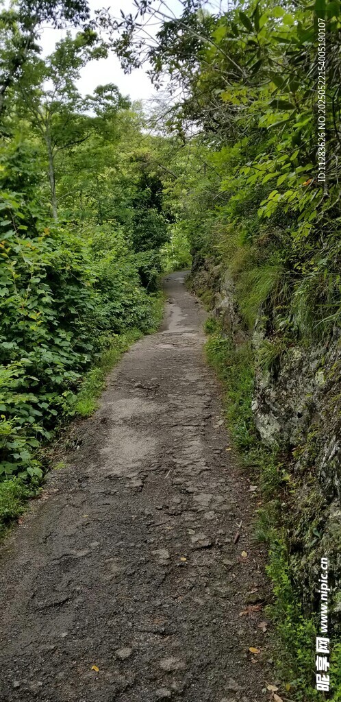山间幽静小径