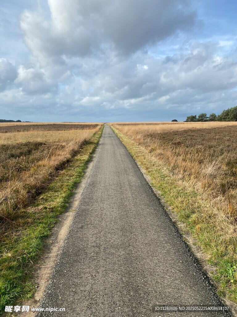 乡间小路延伸至远方田野