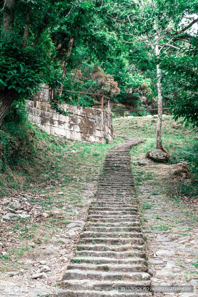 林间石阶小道
