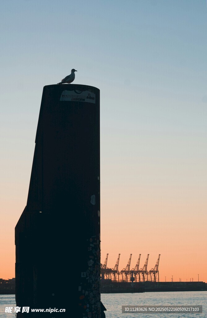 黄昏港口的船只与飞鸟