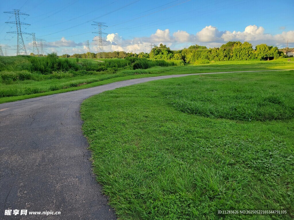 乡间小路旁的翠绿田野
