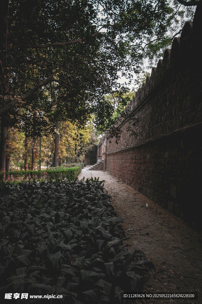 林间石径旁的砖墙风景