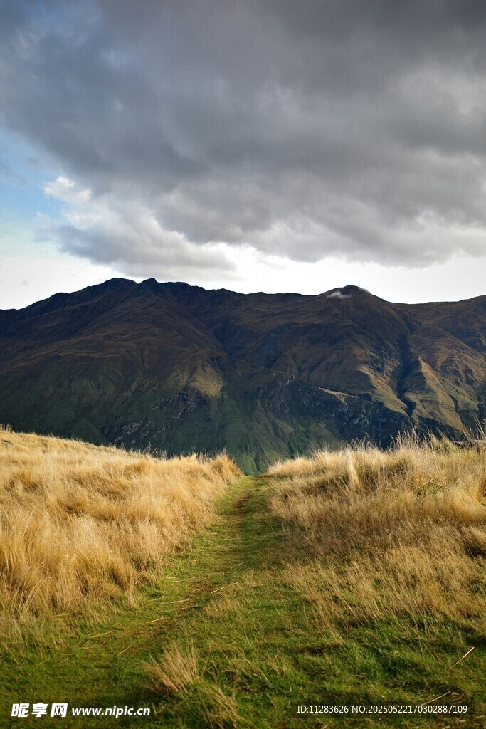 山间草地与远处山峦景色