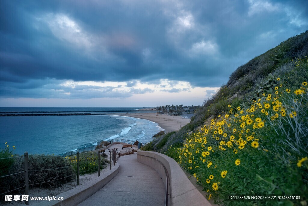 海边花径美景