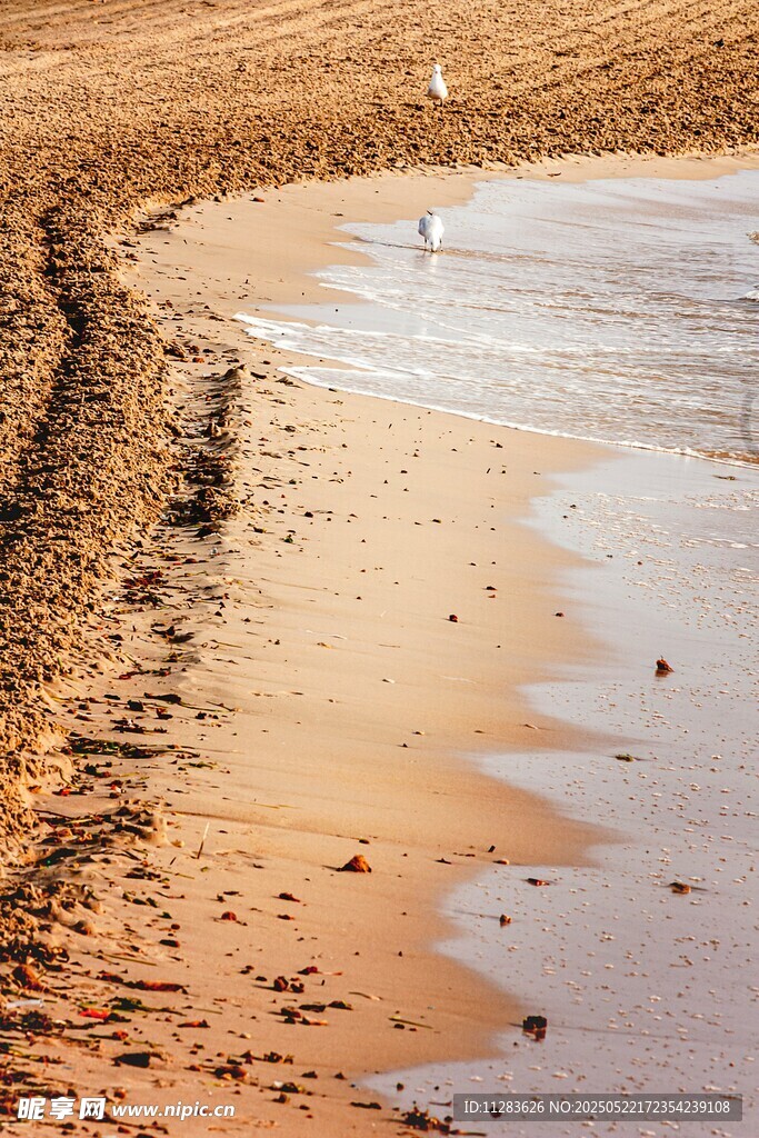 沙滩与海水的静谧景致