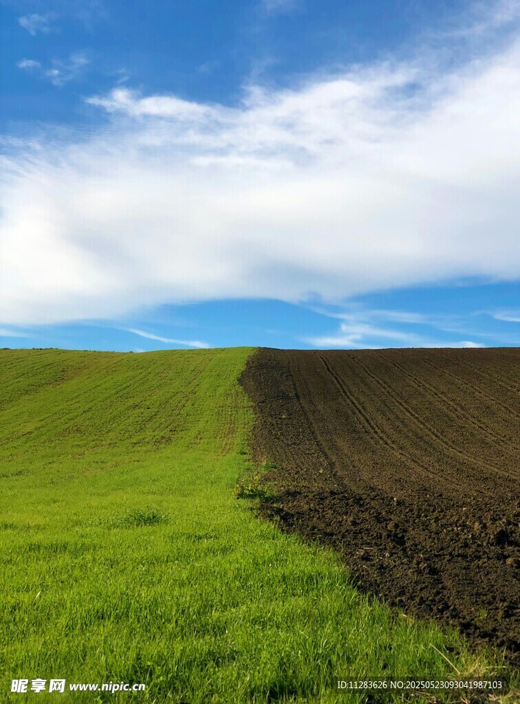 田野间的绿与黑土地分界