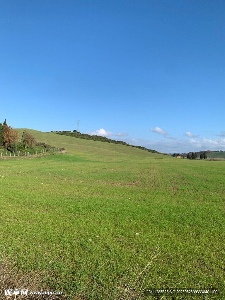 广袤绿野蓝天美景