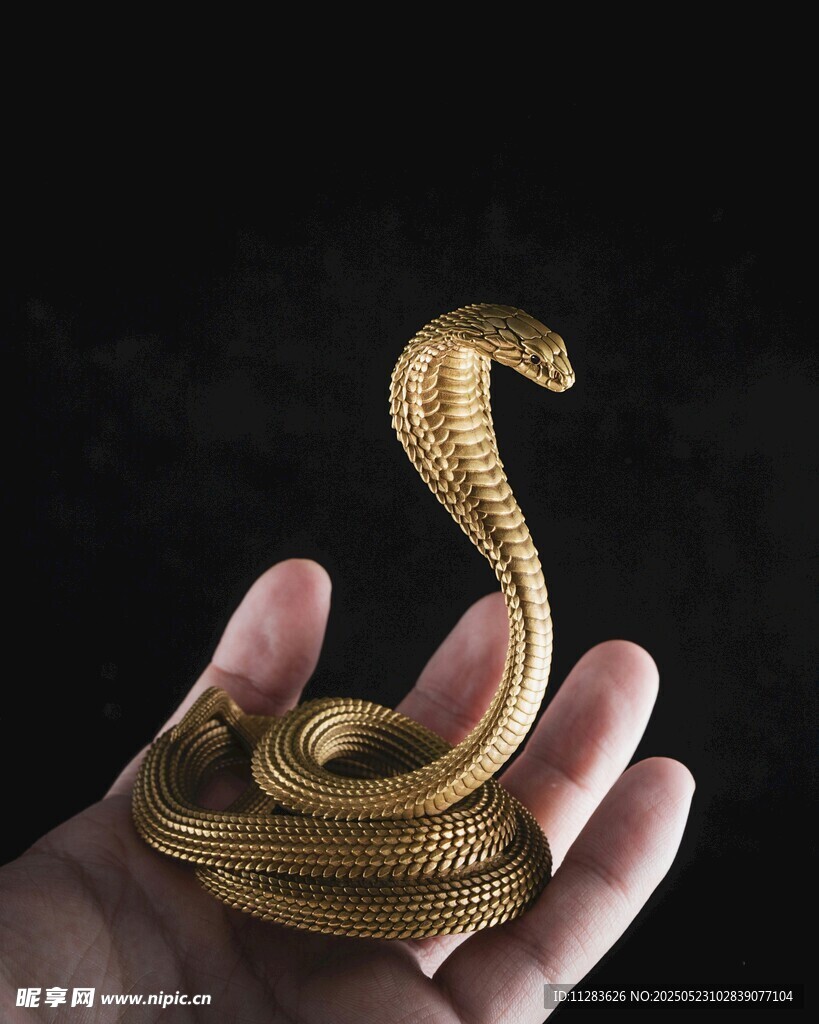 手中盘绕的金色眼镜蛇