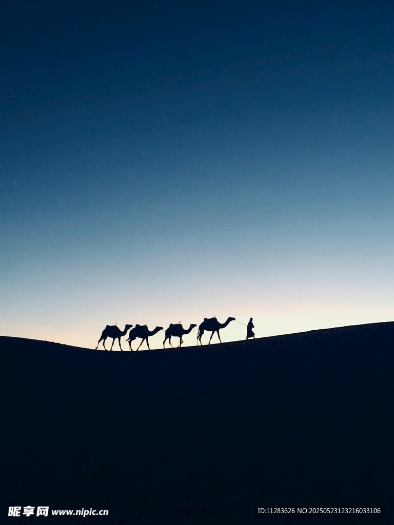 沙漠驼队剪影