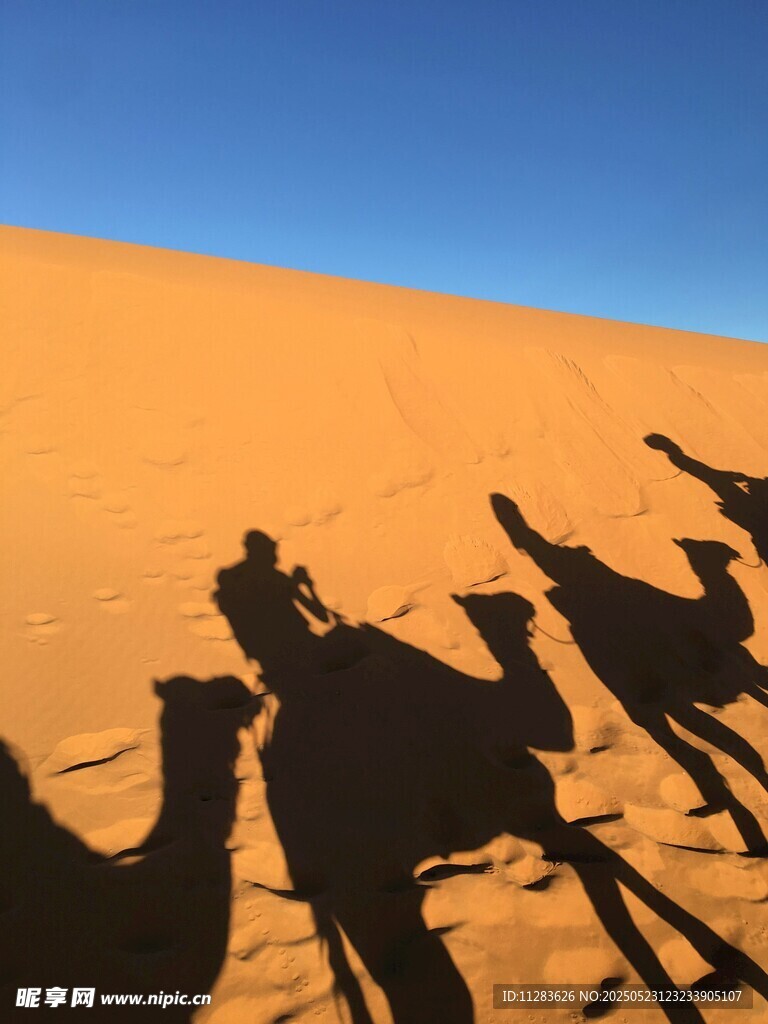沙漠驼队剪影