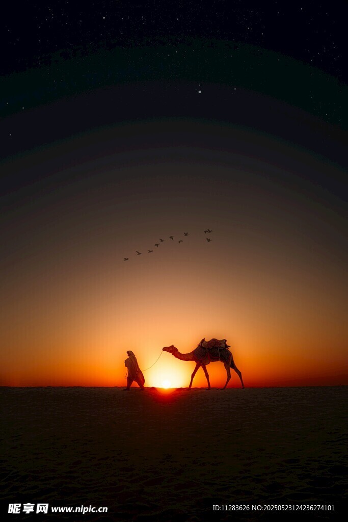 沙漠夕阳下的人与骆驼