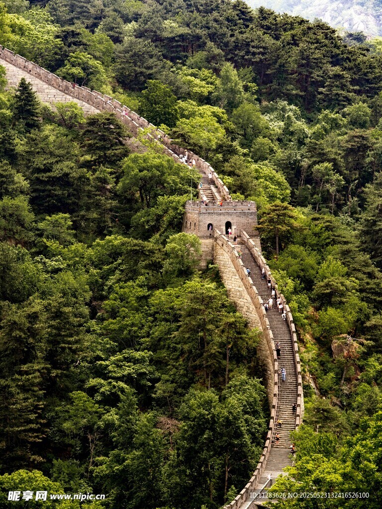 蜿蜒长城穿梭于葱郁山林
