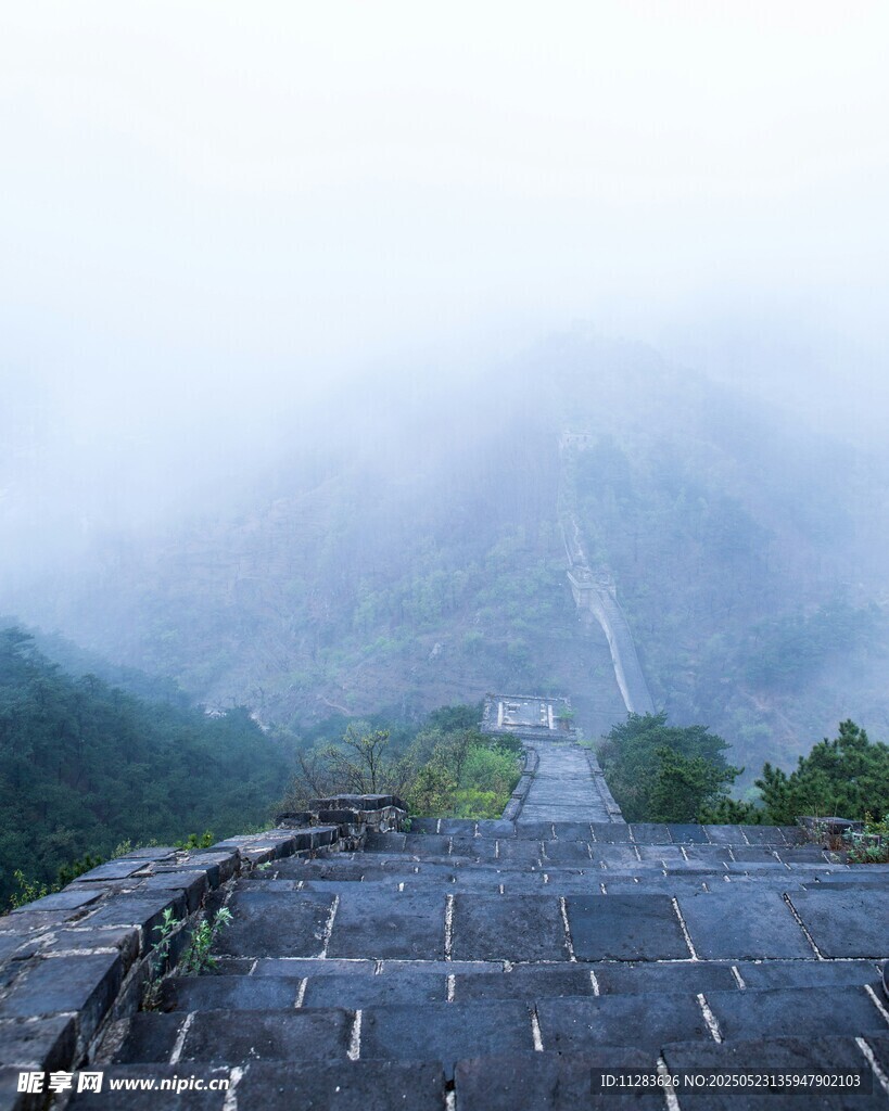 雾中栈道现山林美景