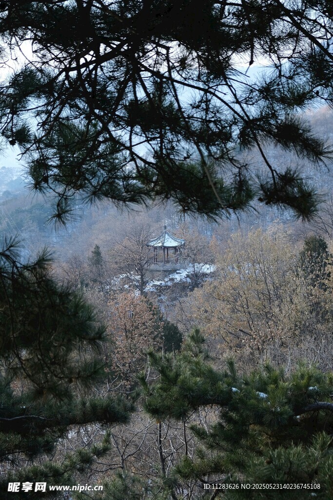林间远眺湖景与船只