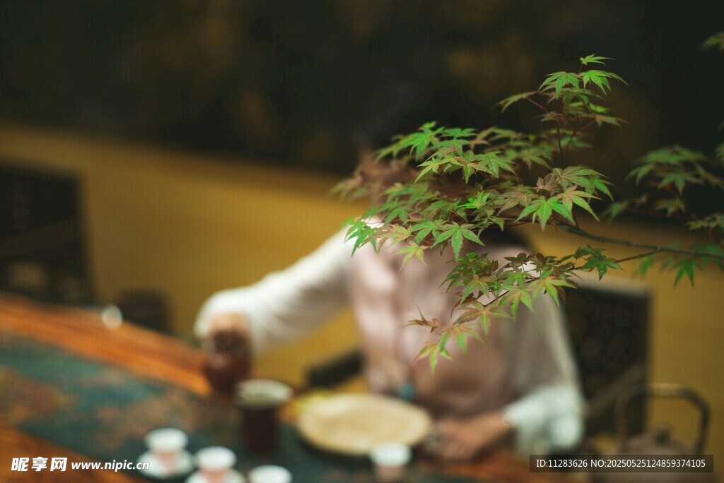 中式茶室中的优雅茶艺场景