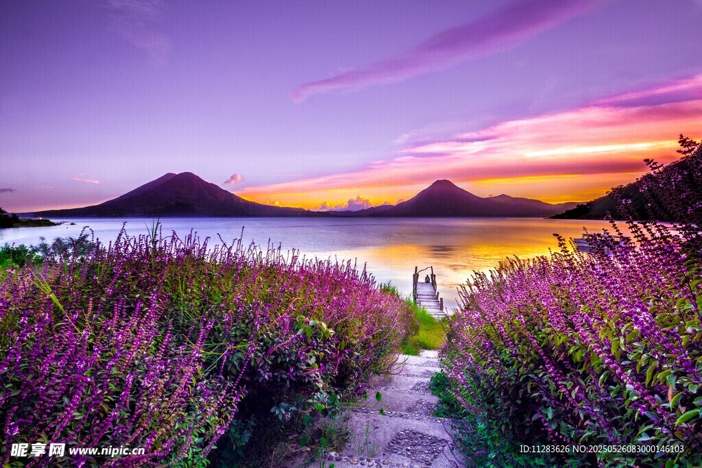 湖畔花径的绝美黄昏景色