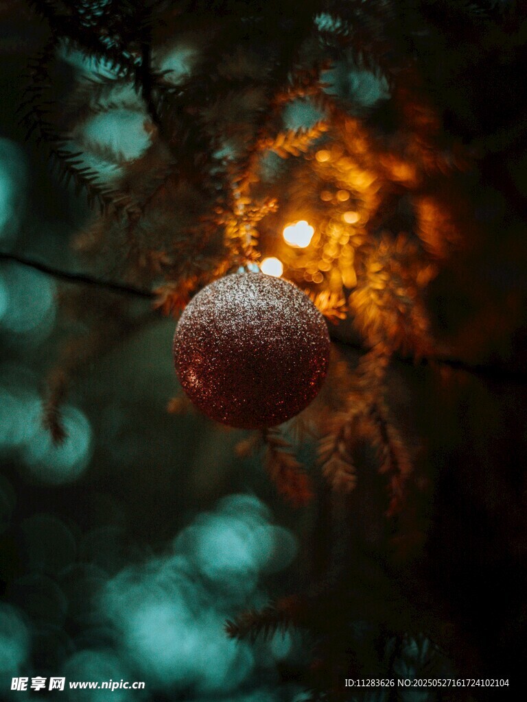 枝头挂雪的红果