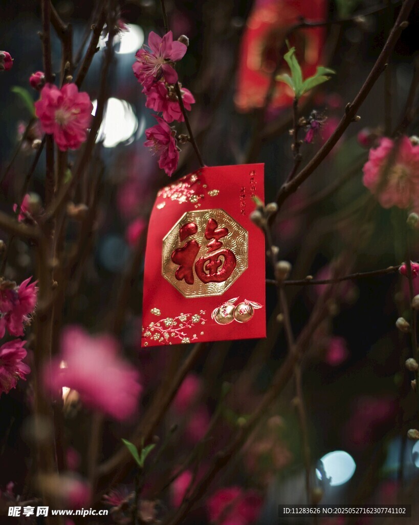 枝头红包添新春氛围