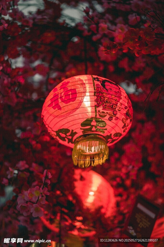 红灯笼点缀繁茂枝叶